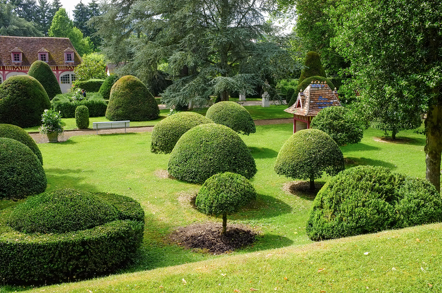 garden view   garden view